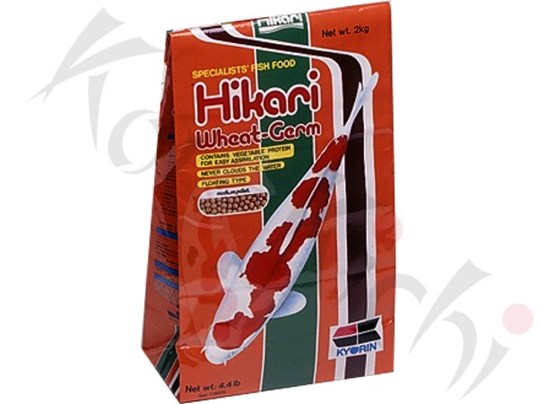 50108054c3cab4b3c4c Hikari Wheat Germ Large 2000g