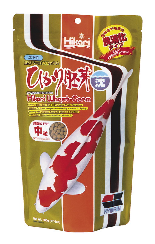 501085 Hikari Wheat Germ Sinking Medium 500g